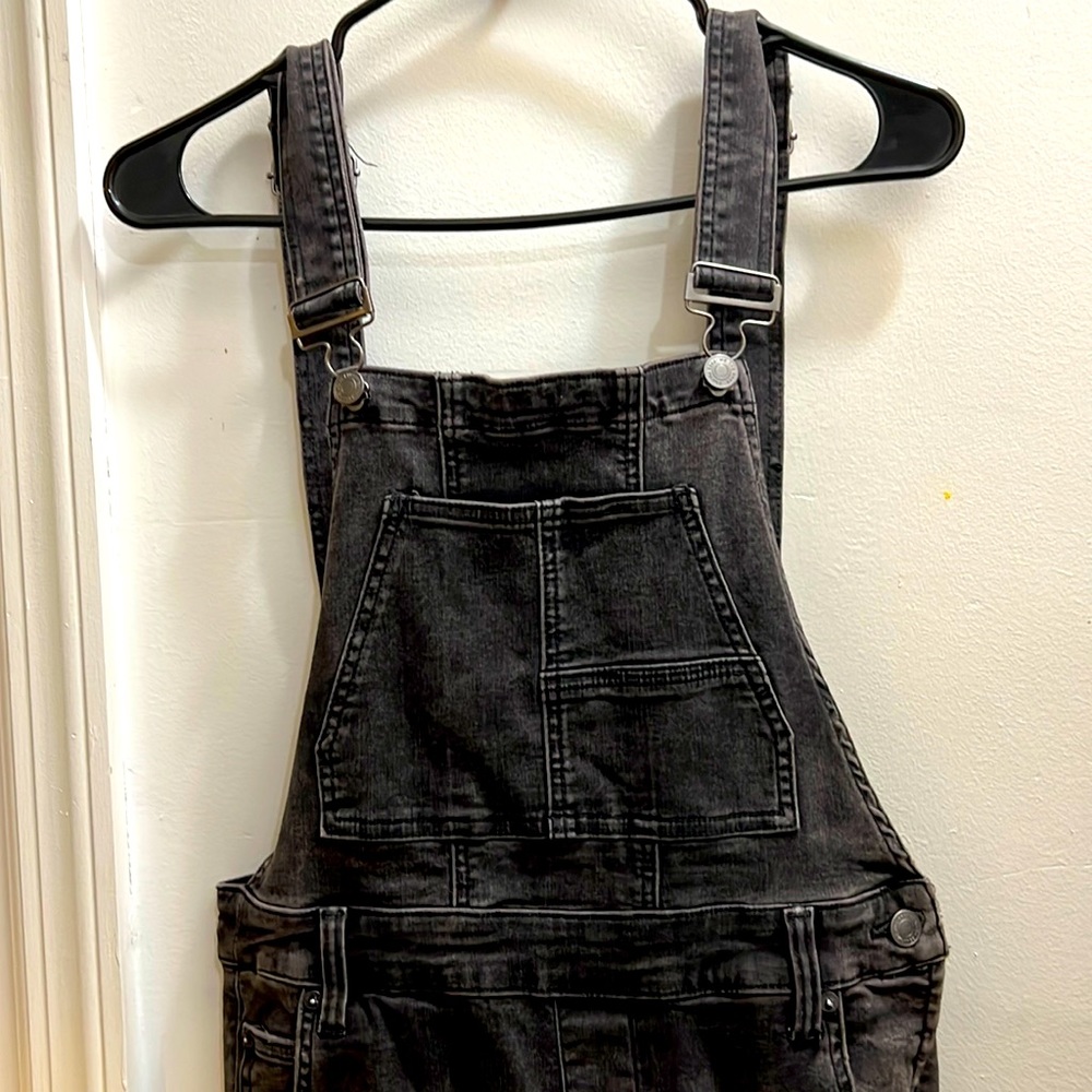 We The Free Garden Party denim flare overalls